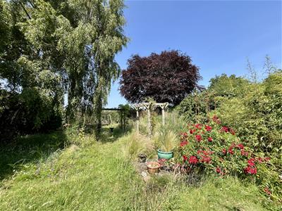 Picture 26